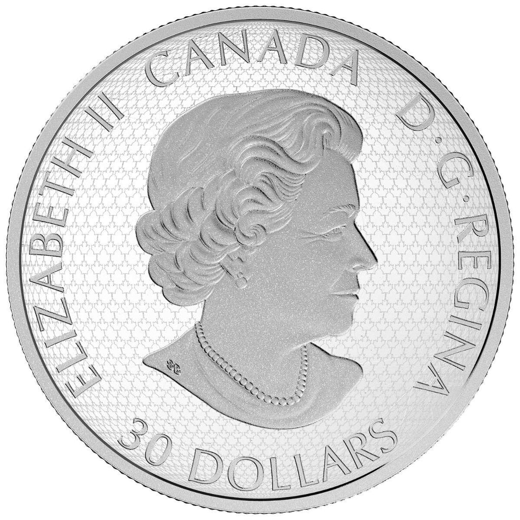 2017 $30 Star Trek Five Captains - 2 Oz Pure Silver Coloured