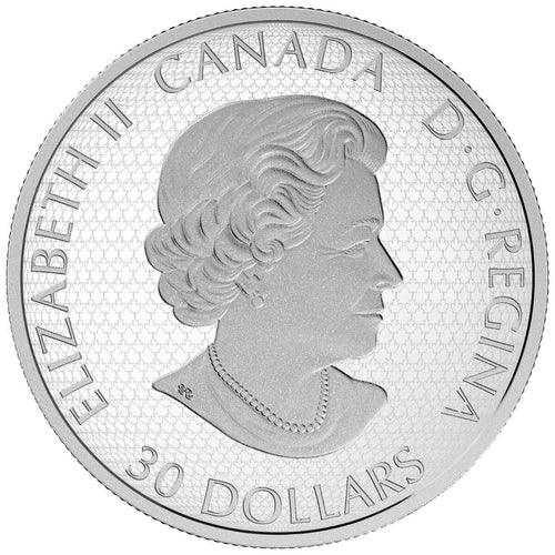 2017 $30 Star Trek Five Captains - 2 Oz Pure Silver Coloured