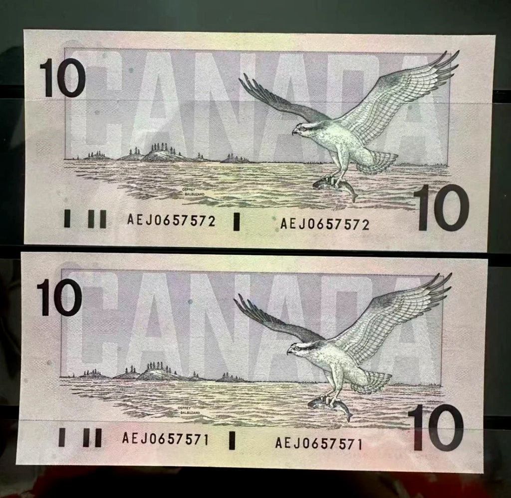 1989 Canada Birds Series $10 Dollar Consecutive Paper Money Prefix AEJ UNC