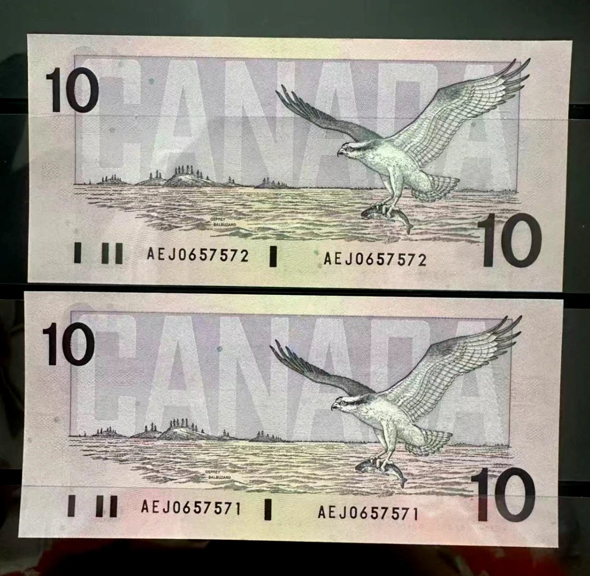 1989 Canada Birds Series $10 Dollar Consecutive Paper Money Prefix AEJ UNC